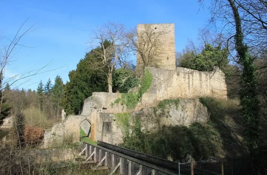 Burg Odenbach, Odenbach, Germany, Germany